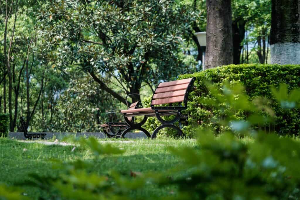 A wooden bench in a park